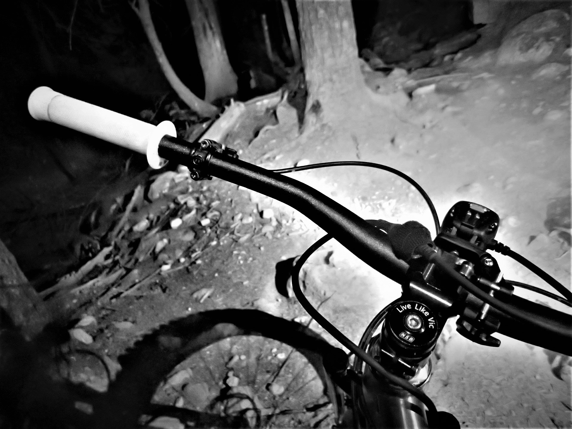 White mountain bike deals grips