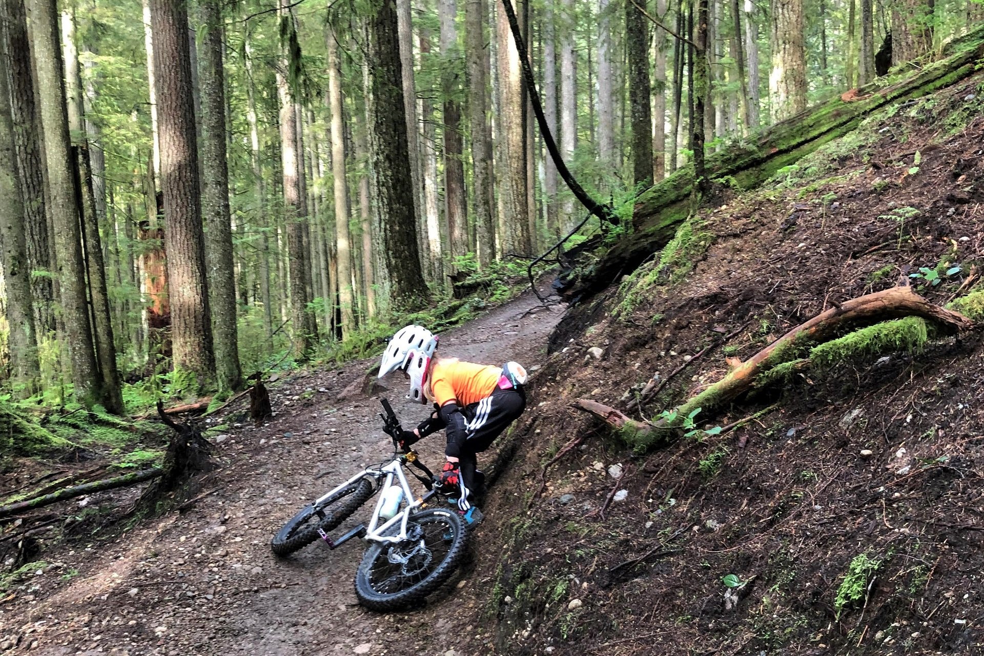 Grom Tripper Ride NSMB AndrewM (7).jpg
