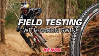 Gwin Test Header