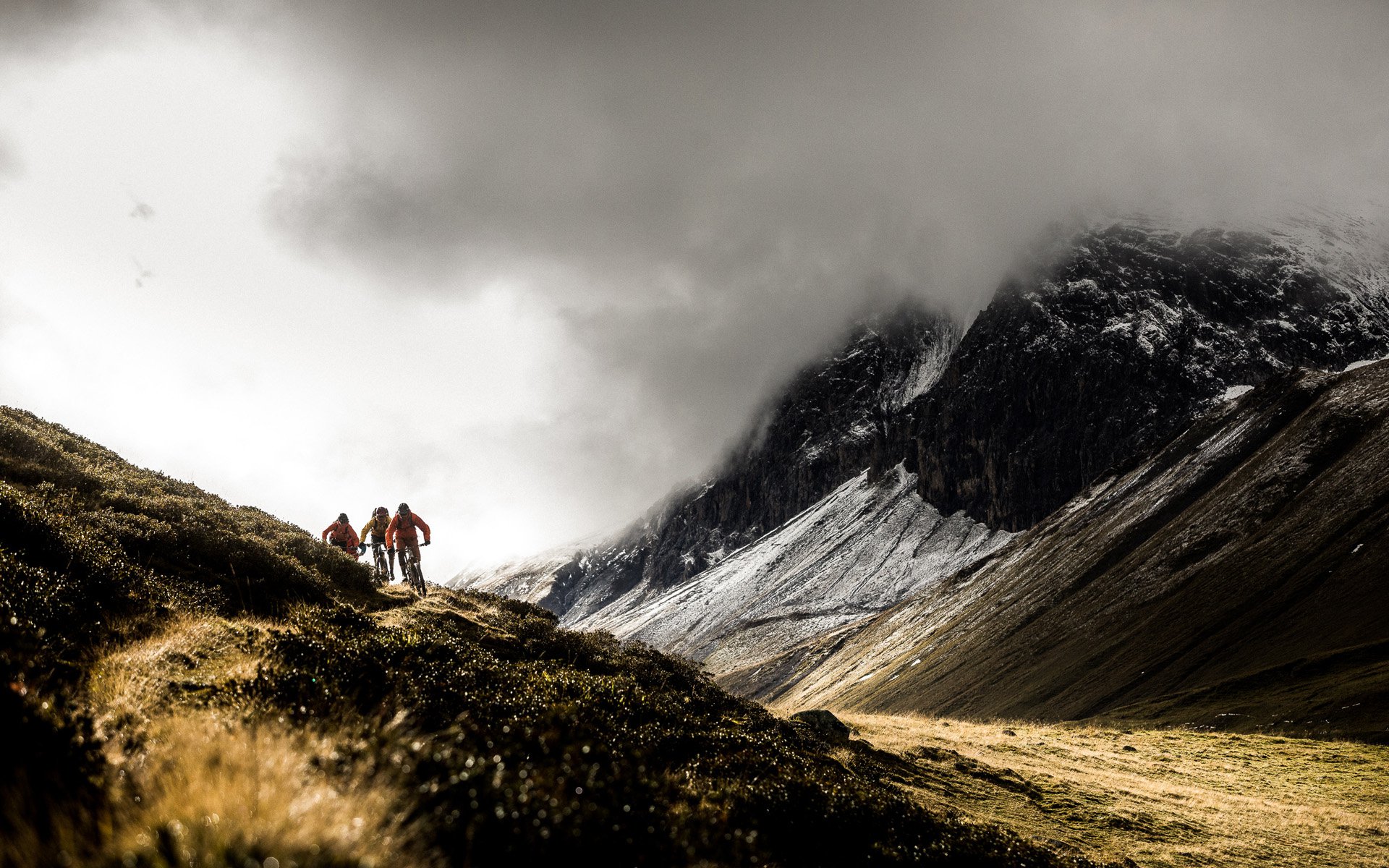 Vanderham Swiss Adventure Banner photo