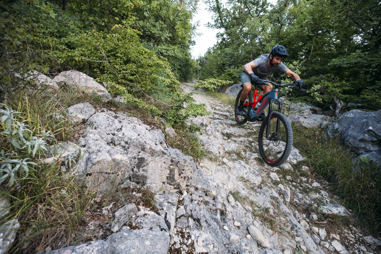 Specialized Turbo Levo
