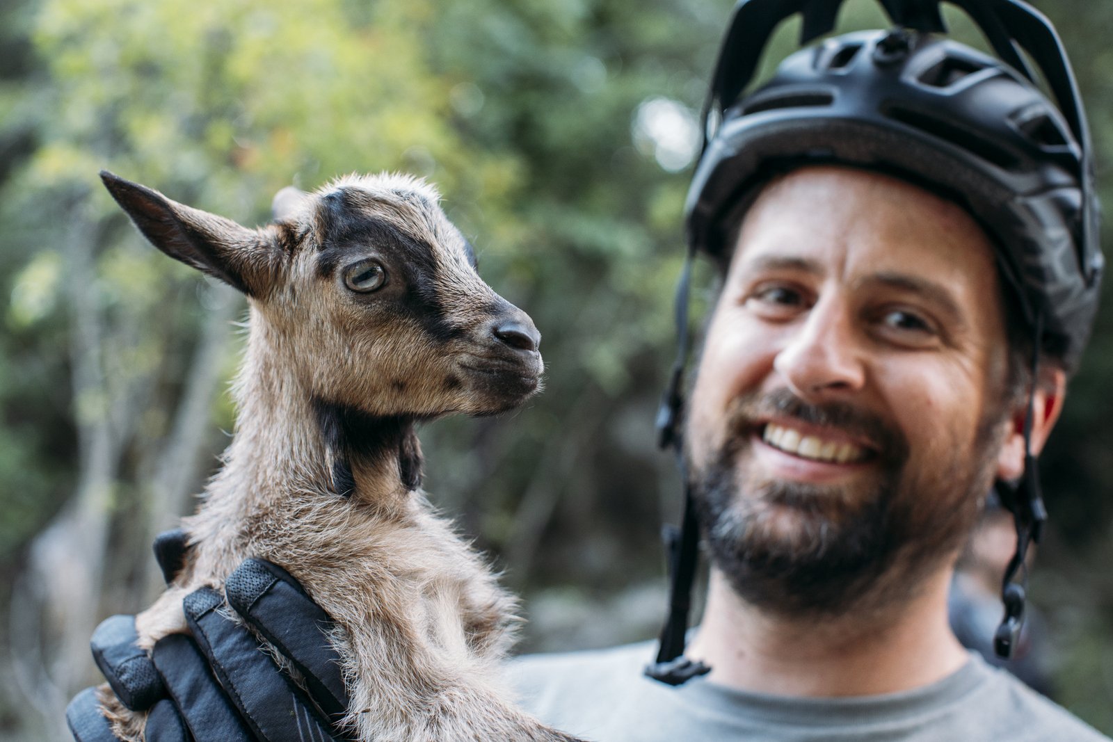 Croatia Goat 2