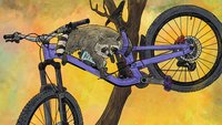 A raccoon borrowing parts off of a mountain bike