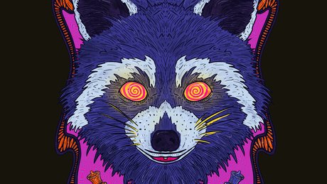 A raccoon that may or may not have taken acid.