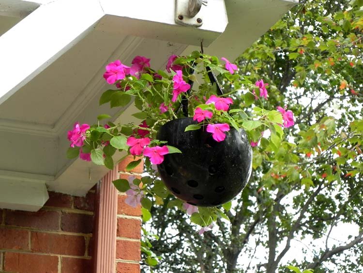 Helmet Flowerpot