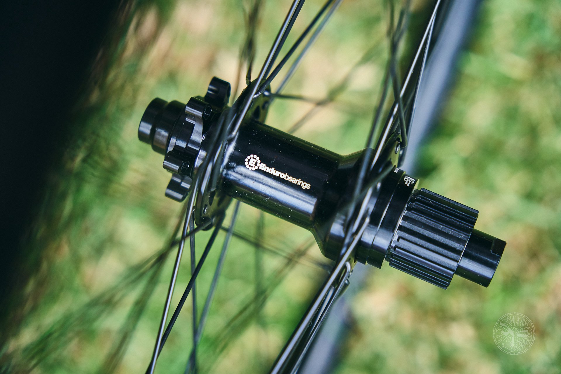 Hunt Wheels Sea Otter 2025 3