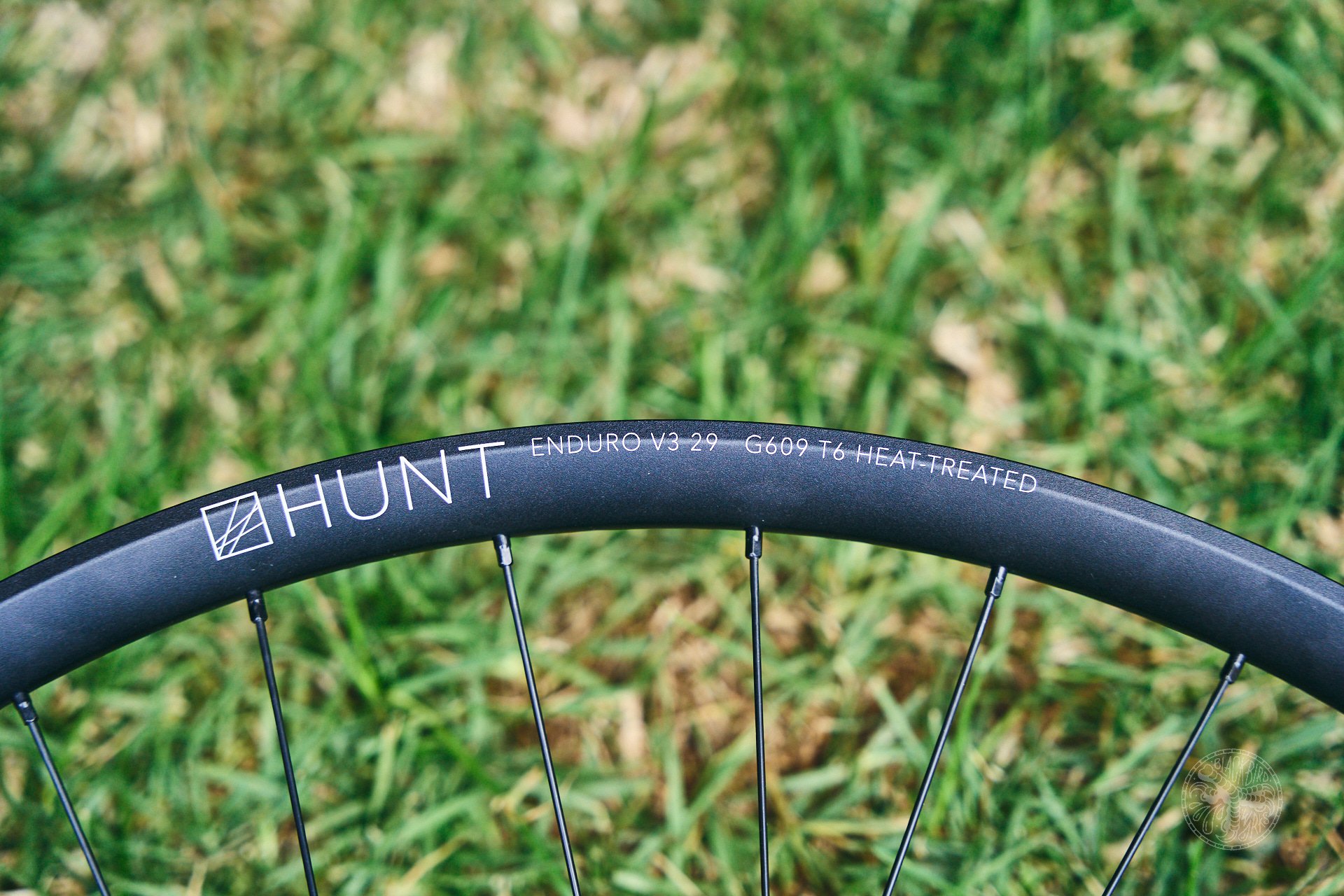 Hunt Wheels Sea Otter 2025 4