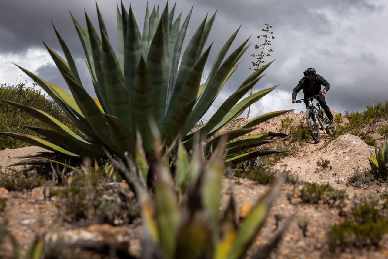 Peru15