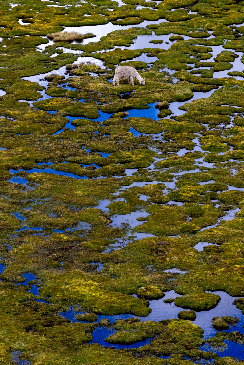 Peru21