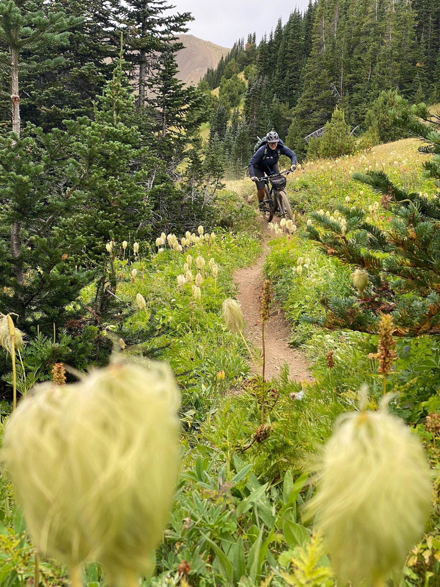 2023 Juliana Furtado and Santa Cruz 5010 Trail Bikes Focus on Fun