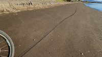 IMG_1565