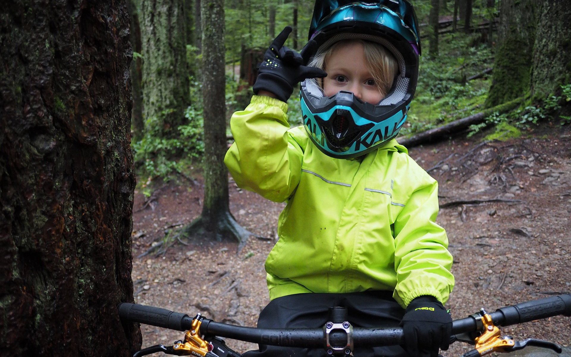 shotgun bike seat canada