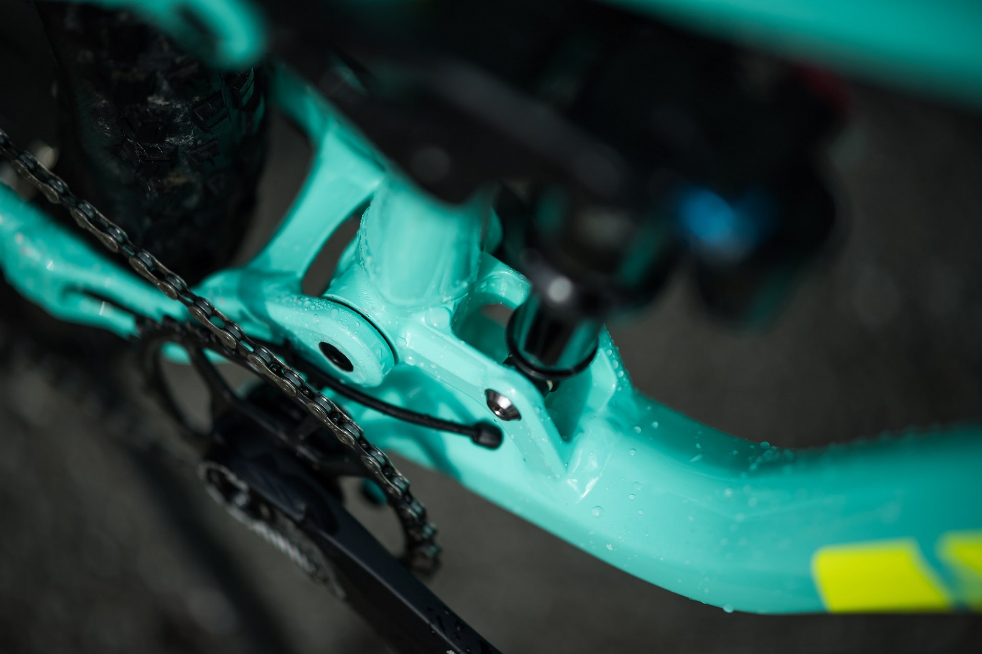 2019 Marin Alpine Trail AndrewM