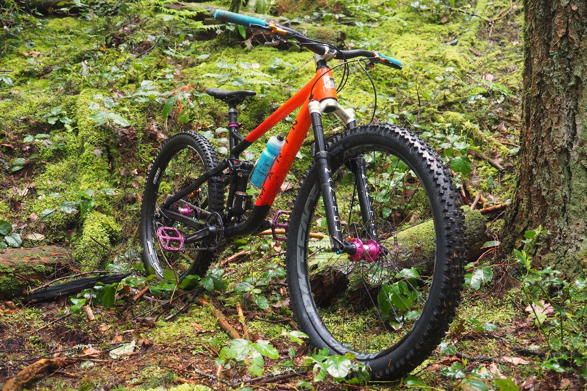 Marin Rift Zone Andrew Major