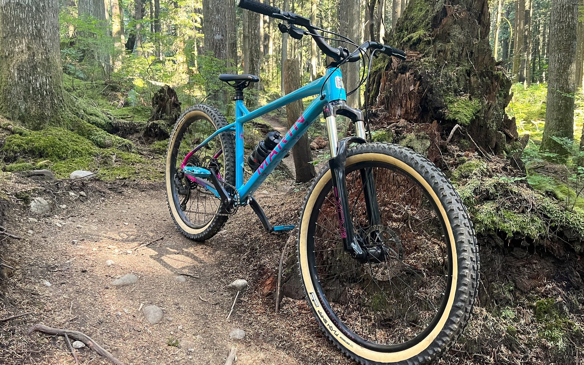 Marin mountain bike clearance review