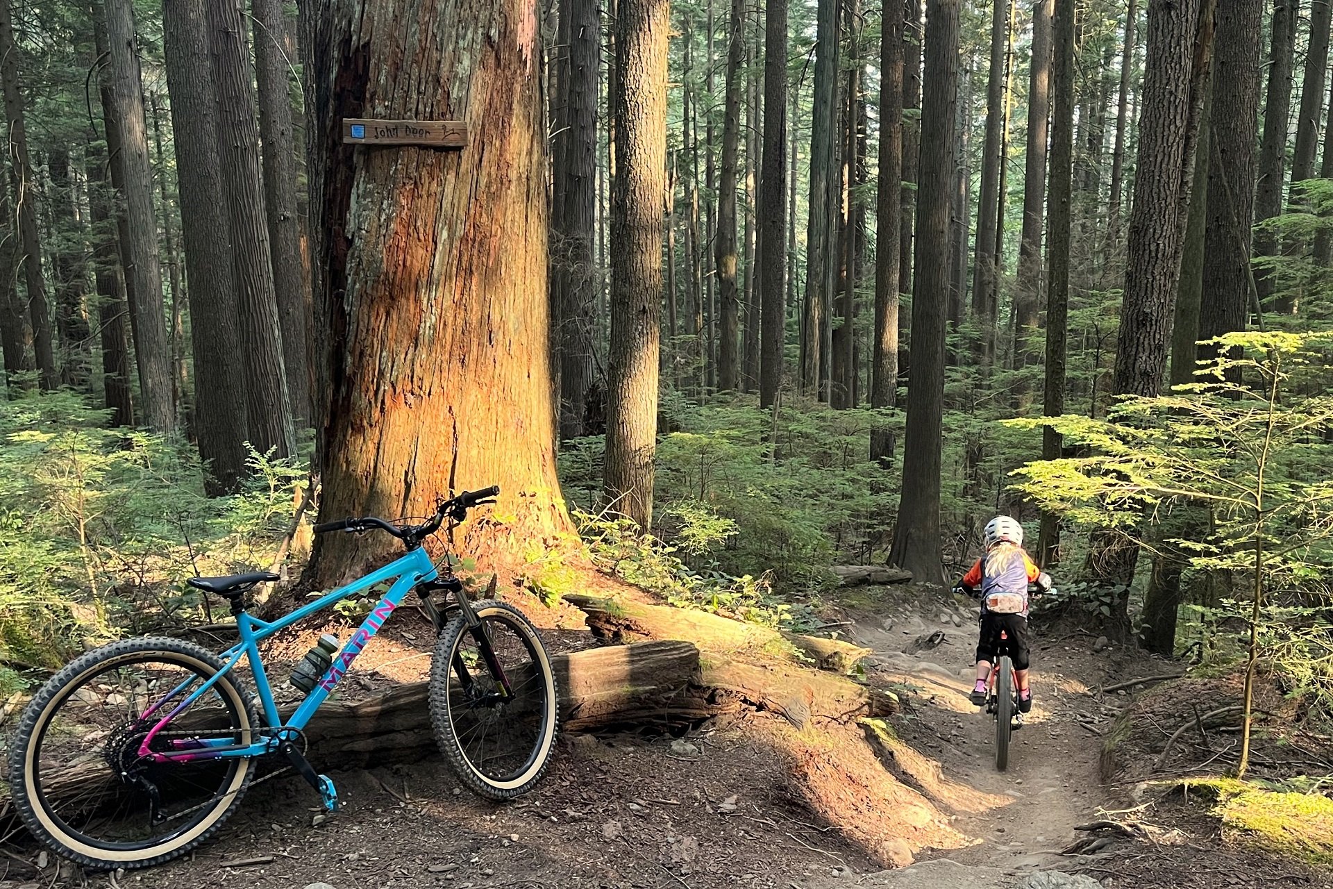 The 1100 USD Marin San Quentin 1 Hardtail