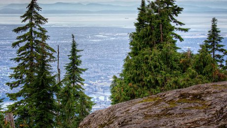 Mt Seymour Photo.jpg