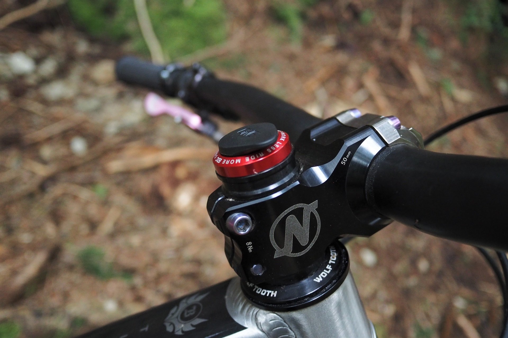 NSB Overlord Stem NSMB AndrewM.JPG