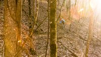 NSMB_maxxis_mulberrygap-3091.jpg