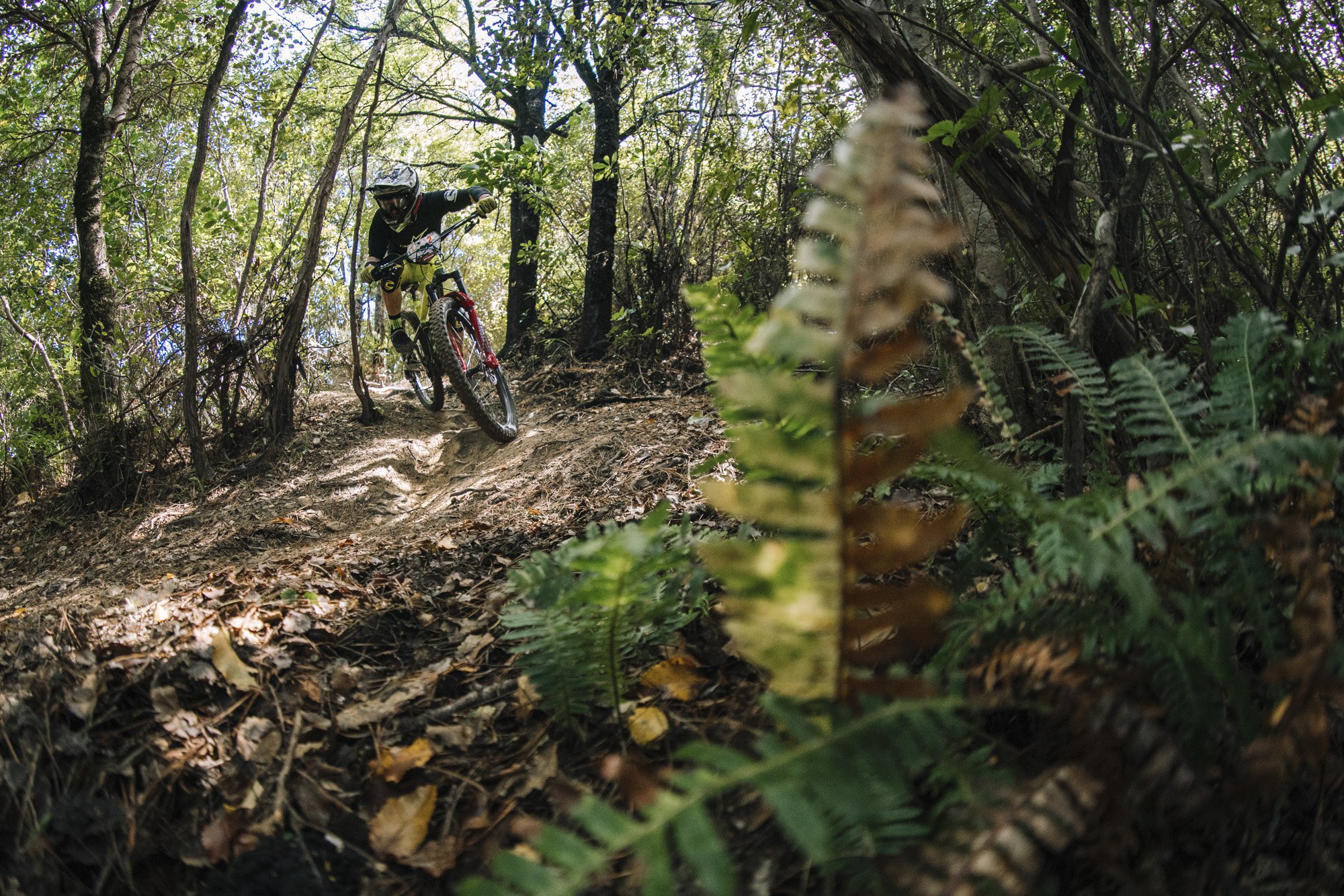 NZ Enduro Day 1 Stage 1 Jerome Clementz