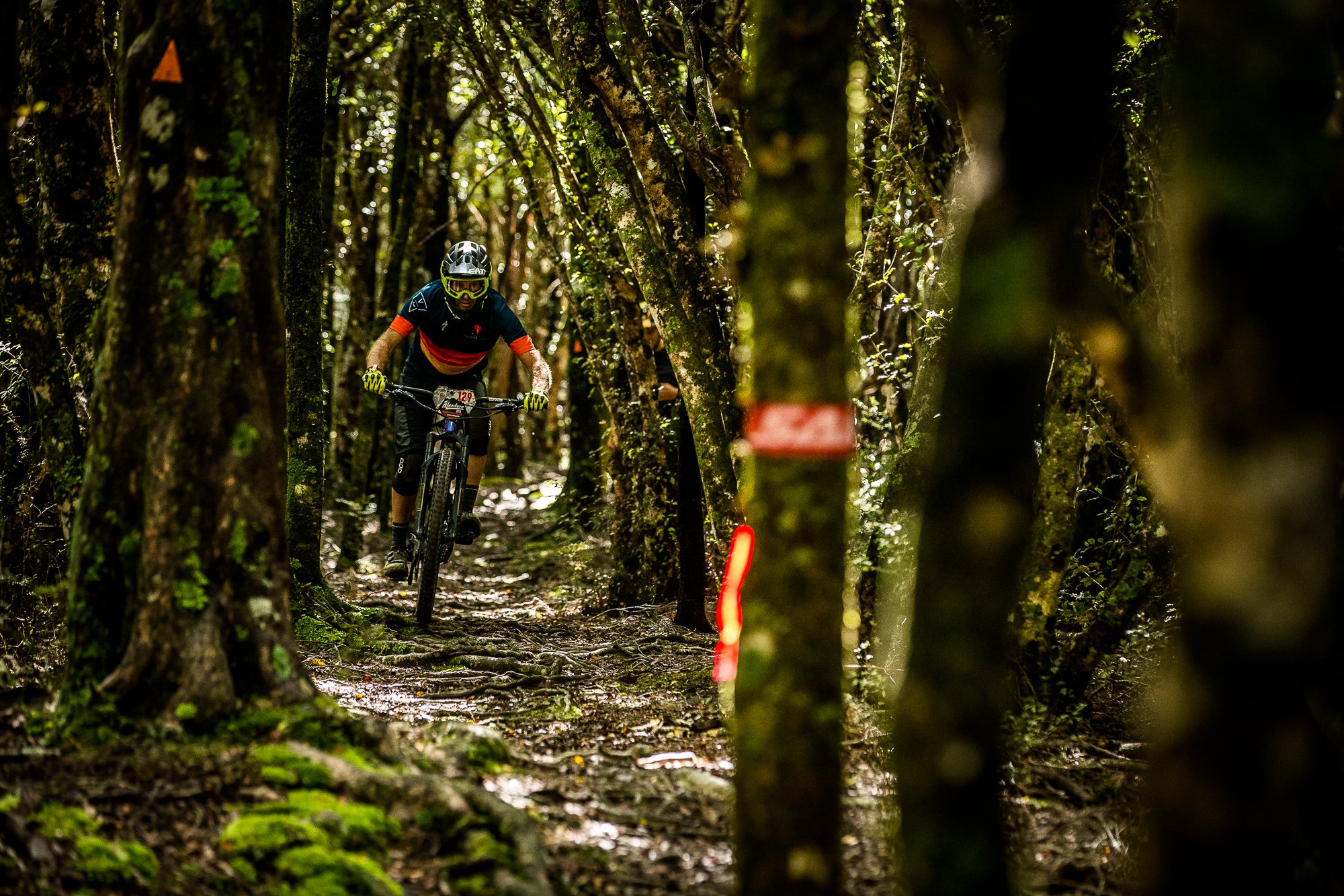 NZ Enduro Day 1 Beech Forest