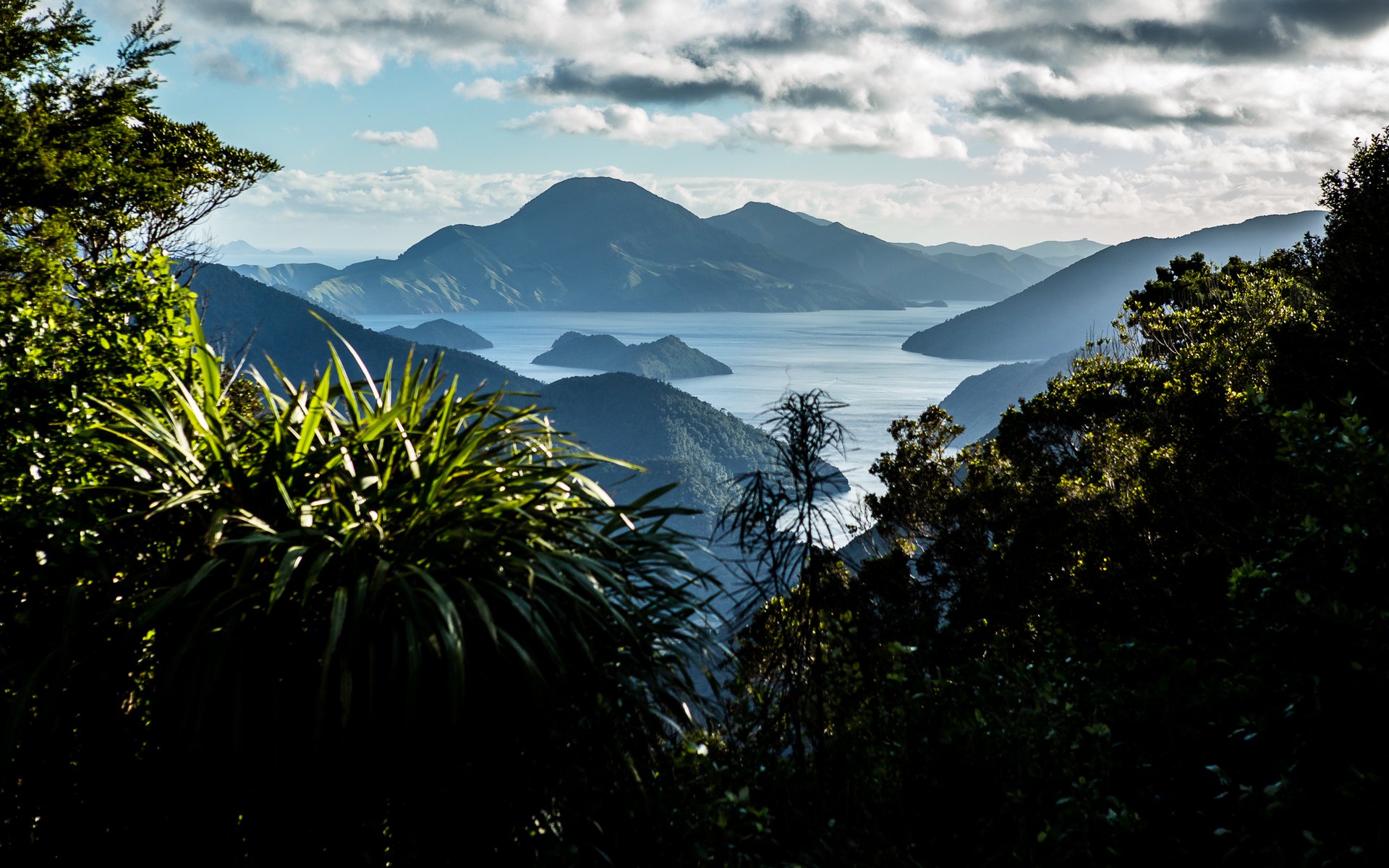 NZ Enduro Day 2 - Nydia Bay