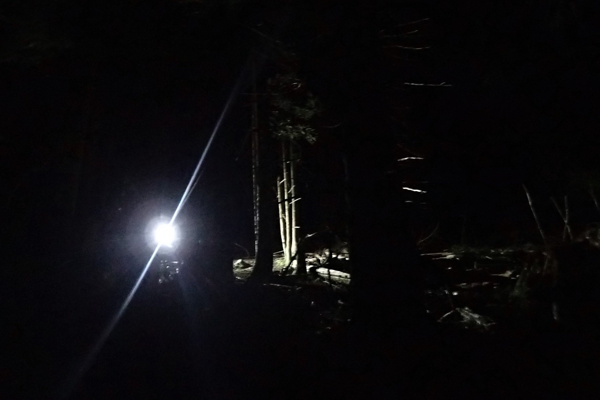 Night Rides AndrewM