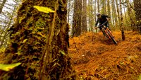 Oaxaca mountani biking