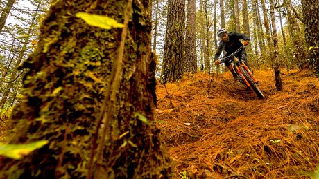 Oaxaca mountani biking