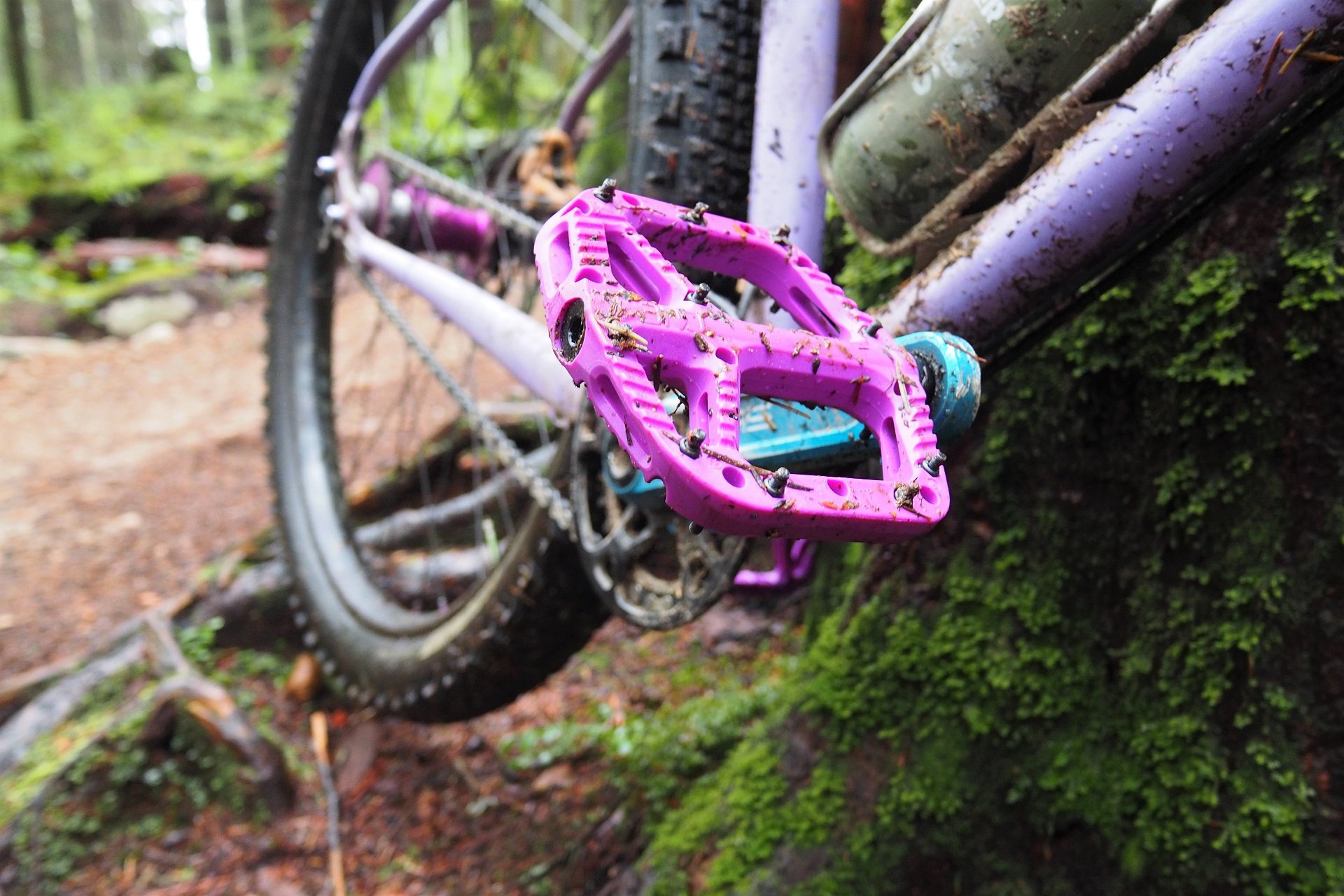 Turquoise mountain deals bike pedals