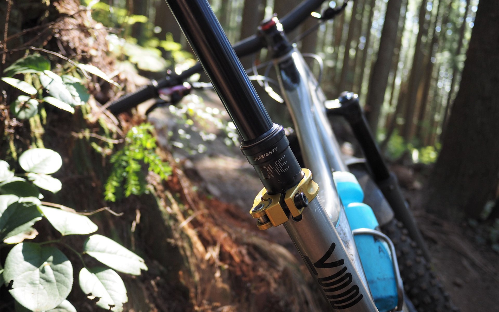 Ascend II Dropper Seatpost (external) - Feel Good Bicycles