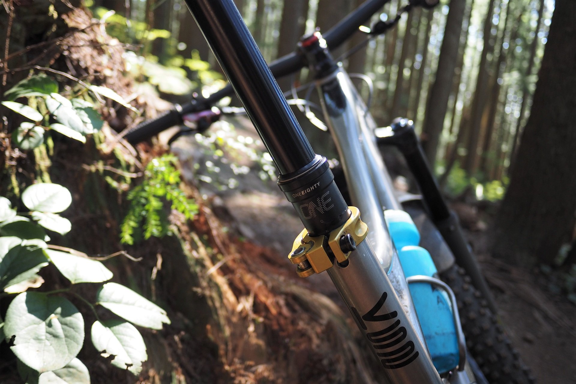 Brand X Ascend II dropper post won't hold weight : r/mountainbiking