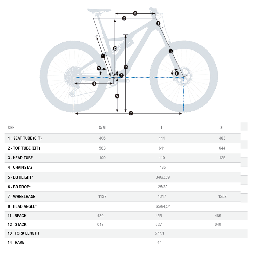 Orbea rallon 2019 sales geometry