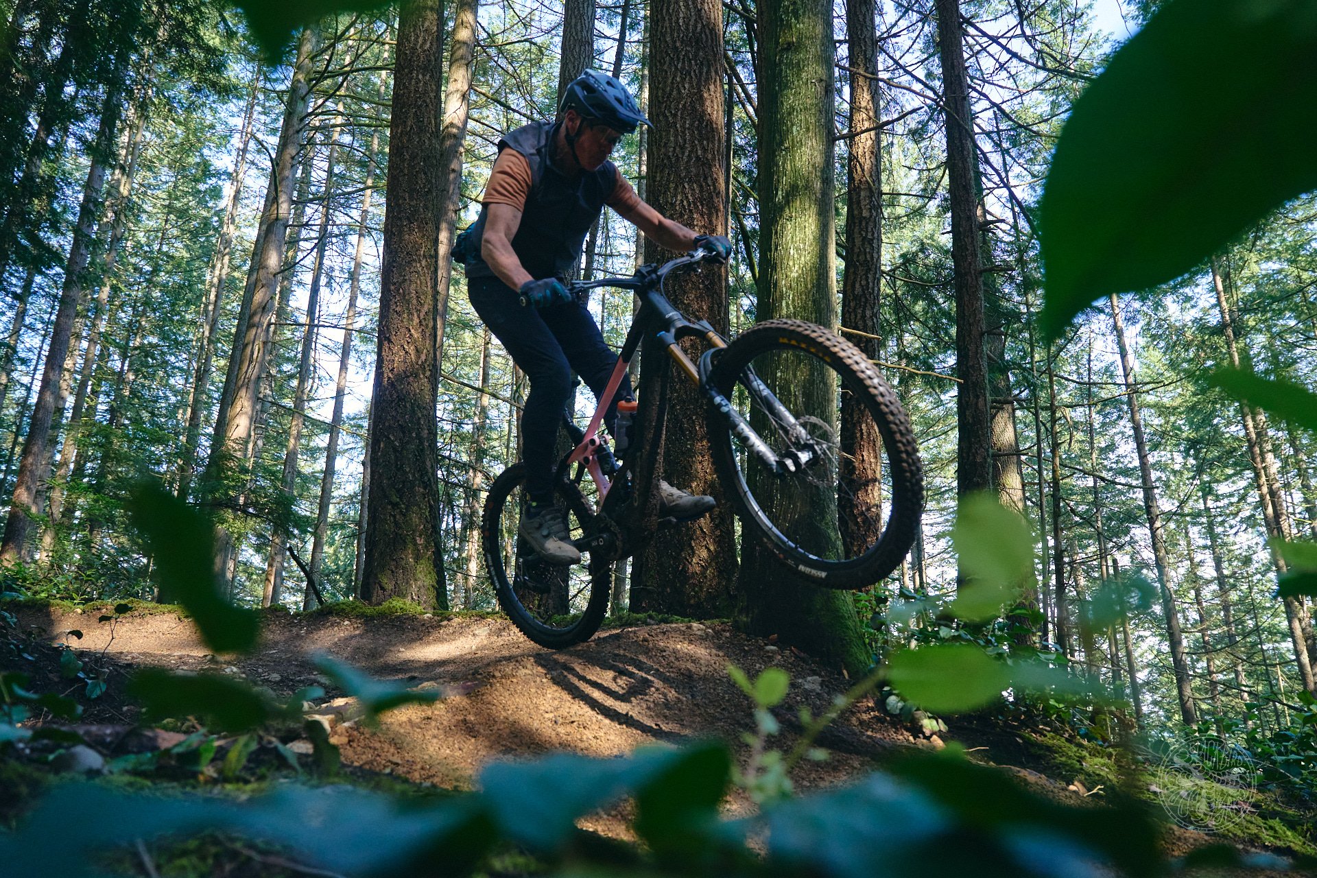 Orbea wild 2025