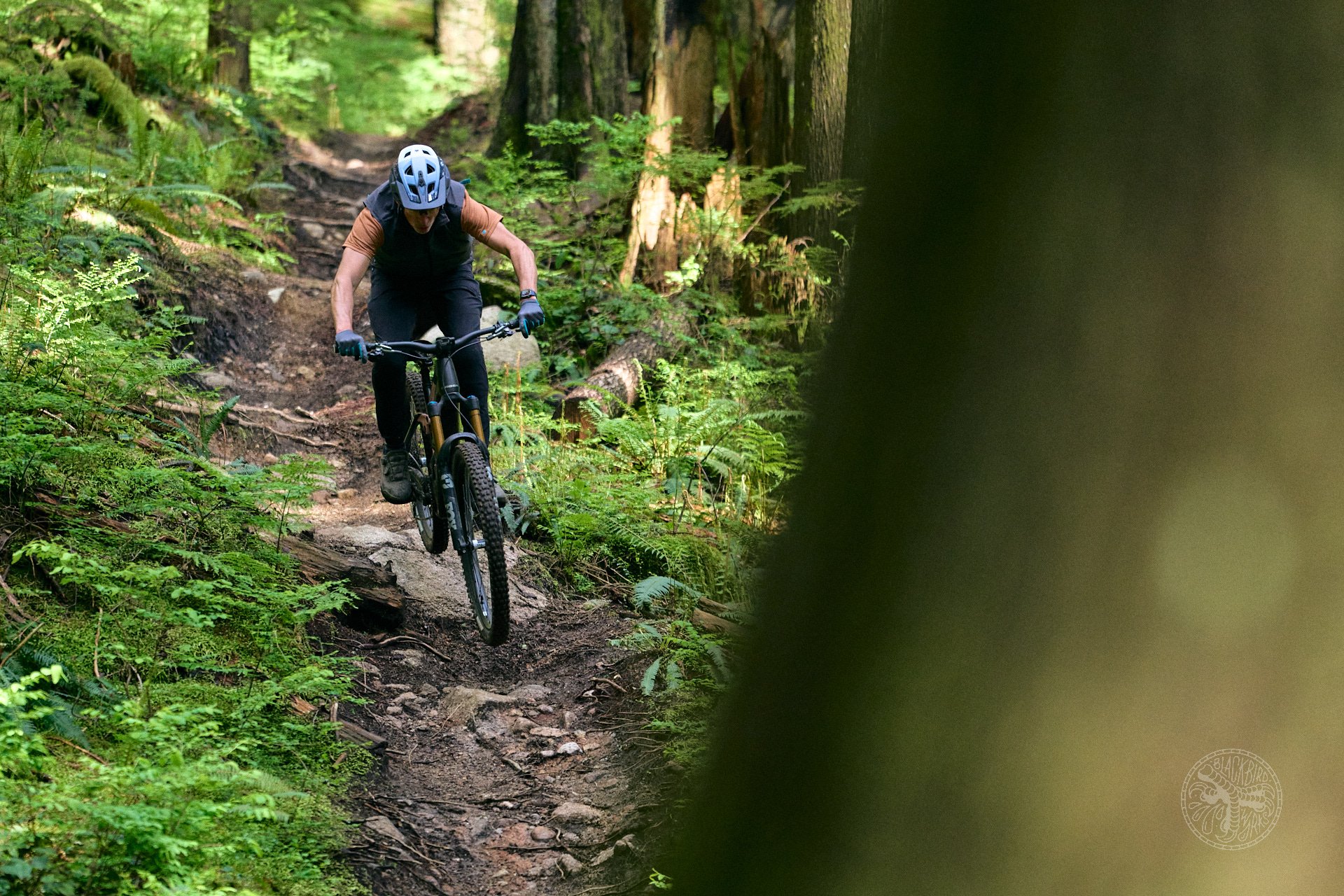 Orbea wild 2025 dm 5