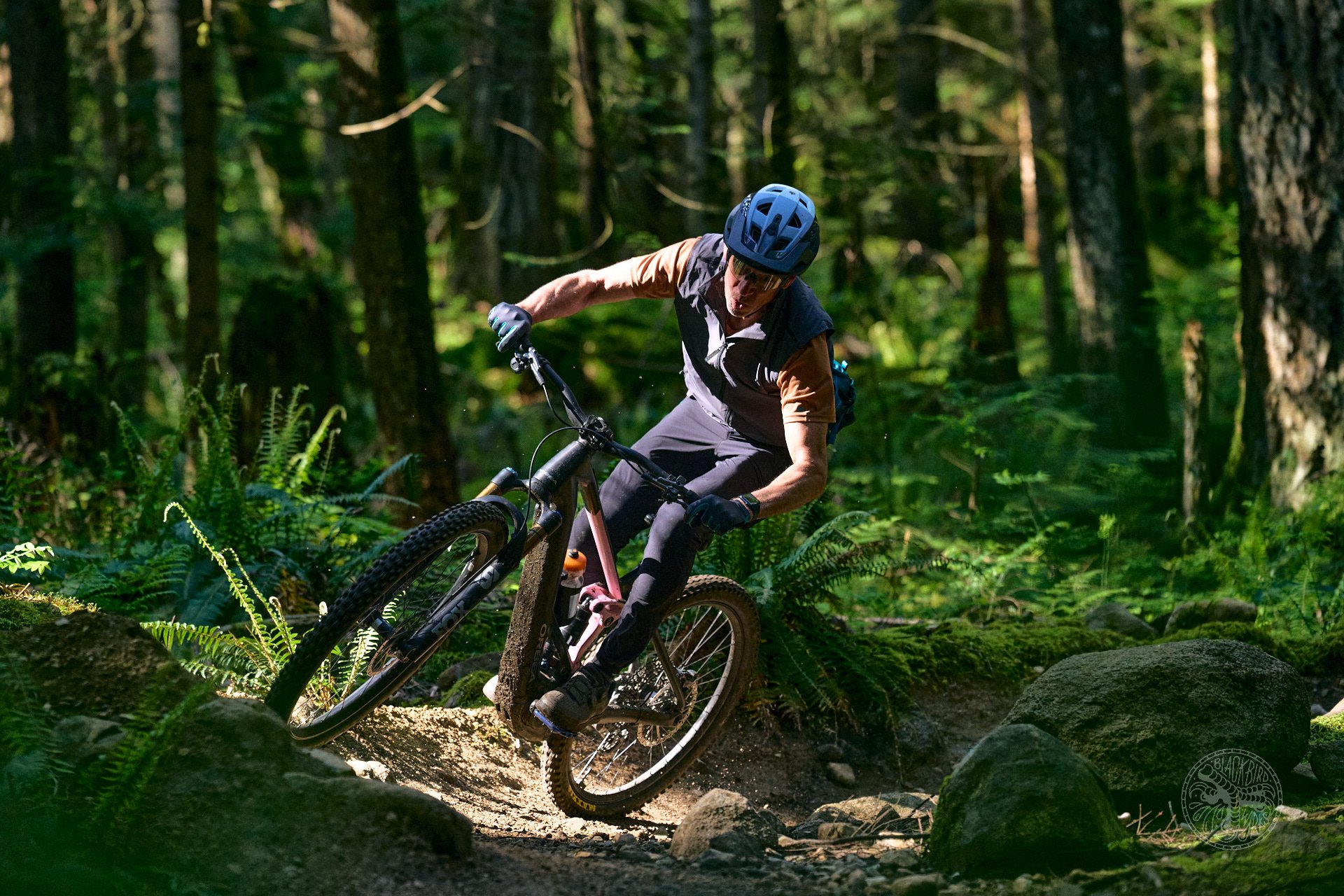 Orbea wild 2025 dm 6