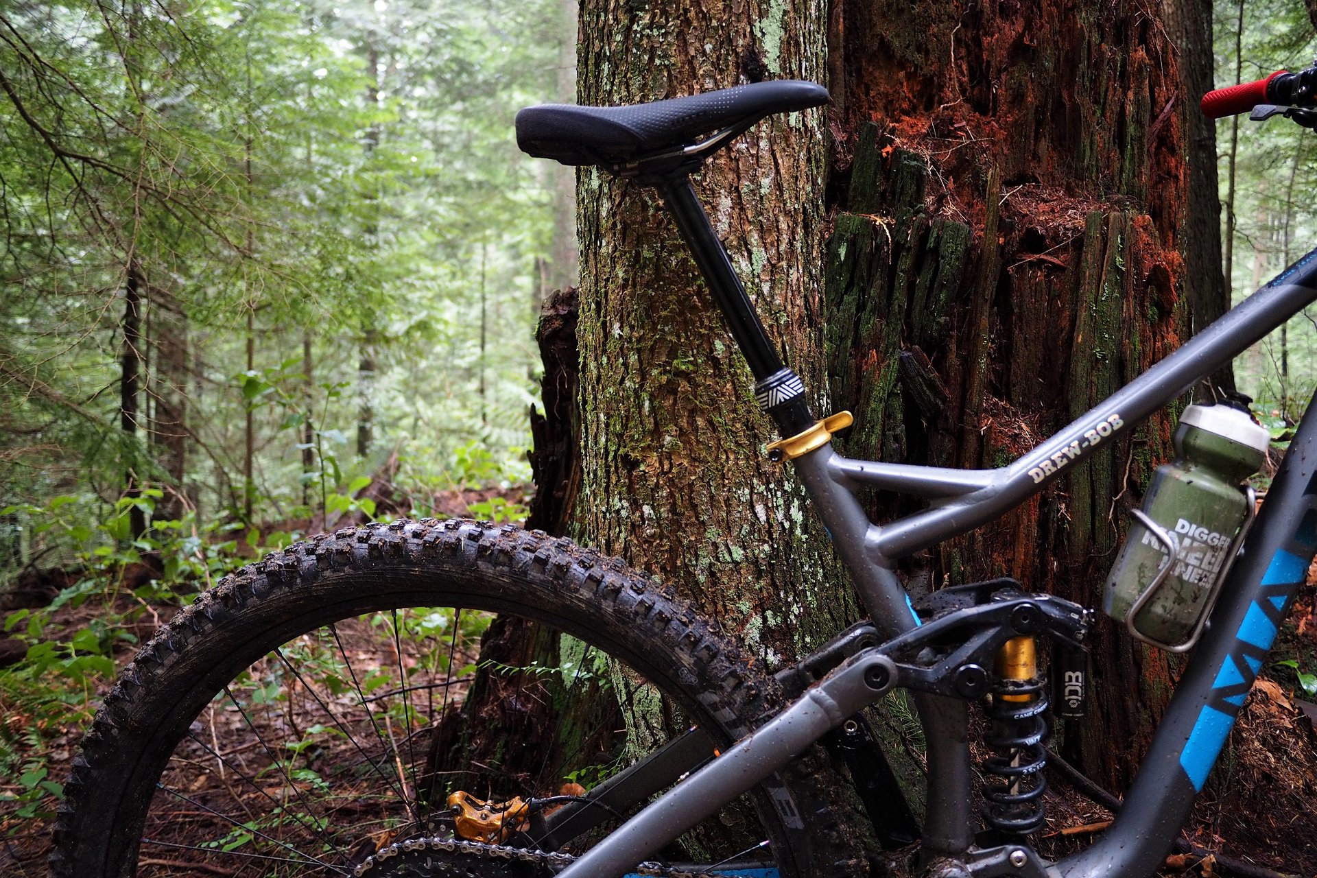 Best mtb tires for 2024 pnw