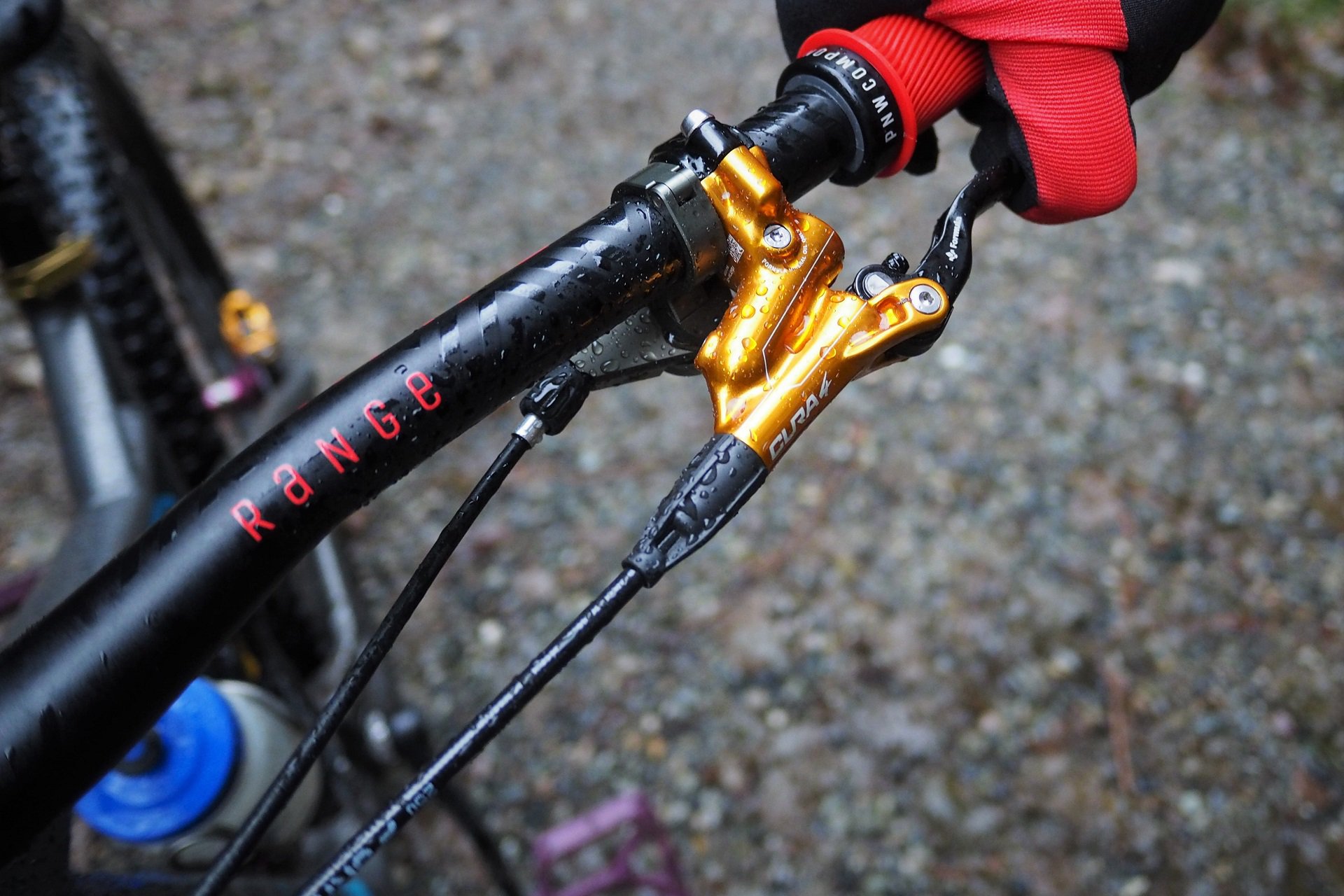 pnw loam grips review