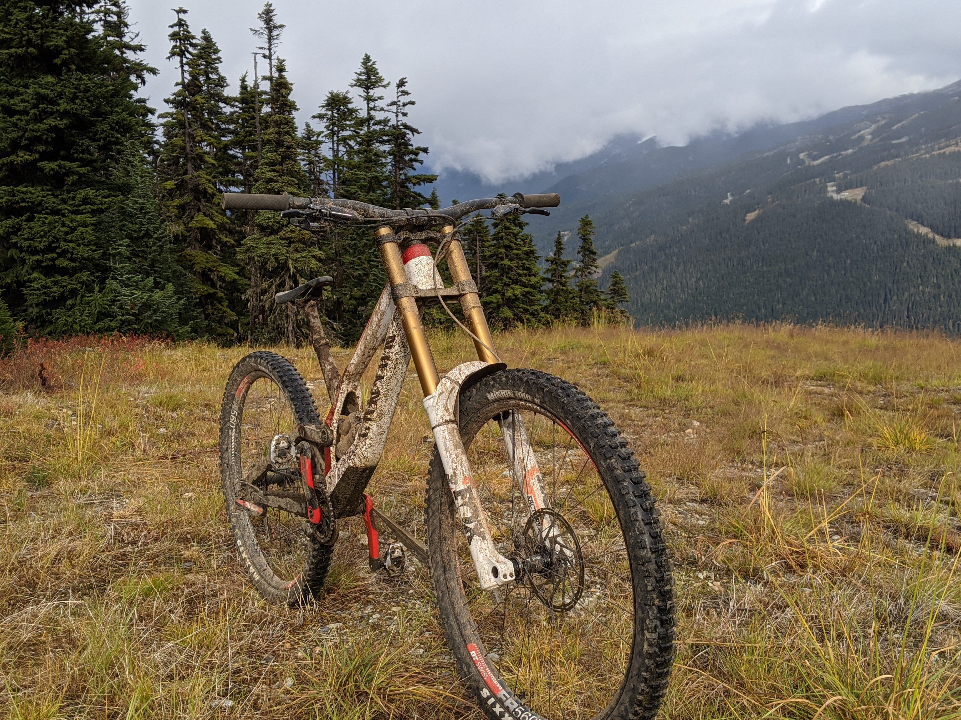 Downhill fox forks sale