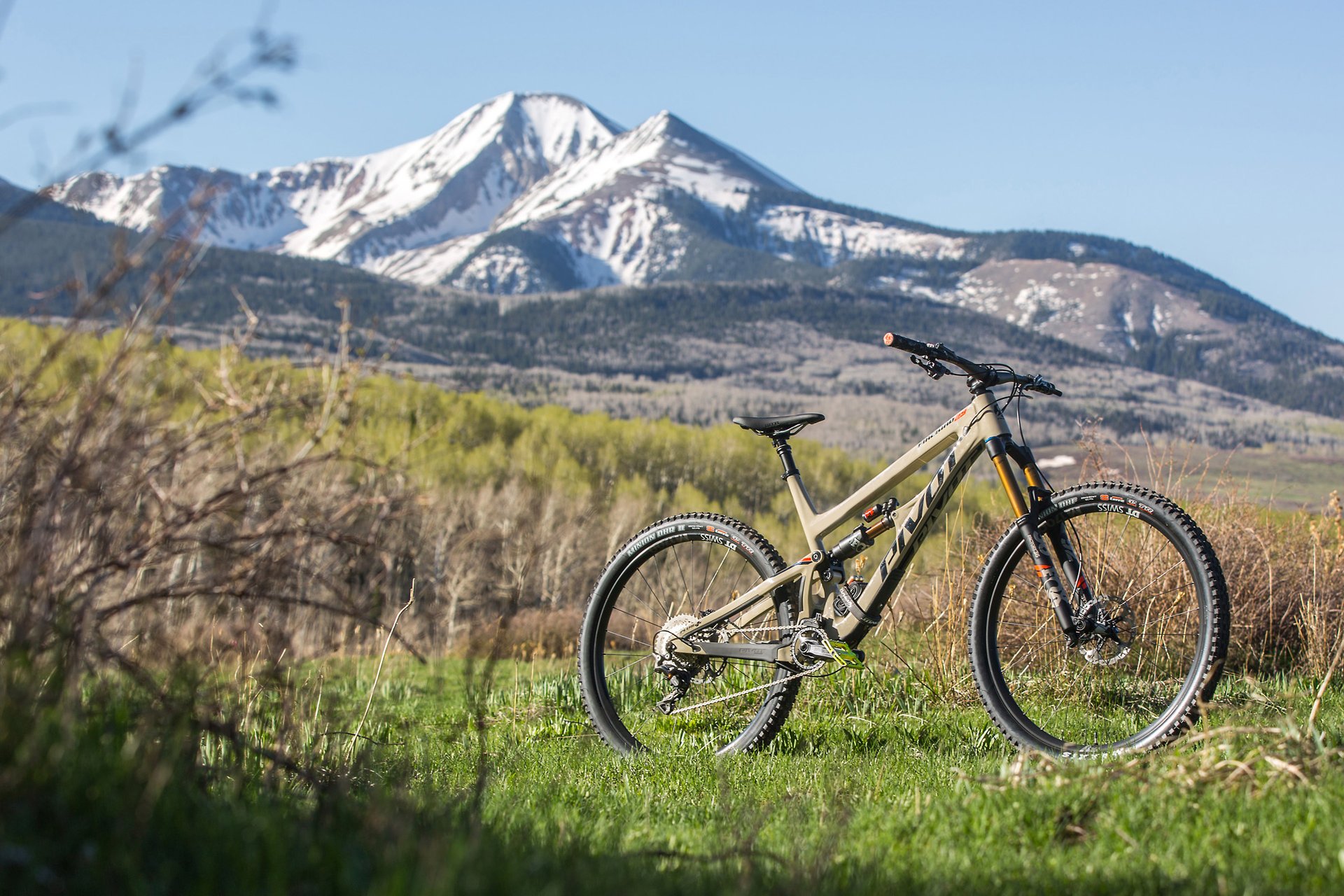 Introducing the Pivot Firebird 29