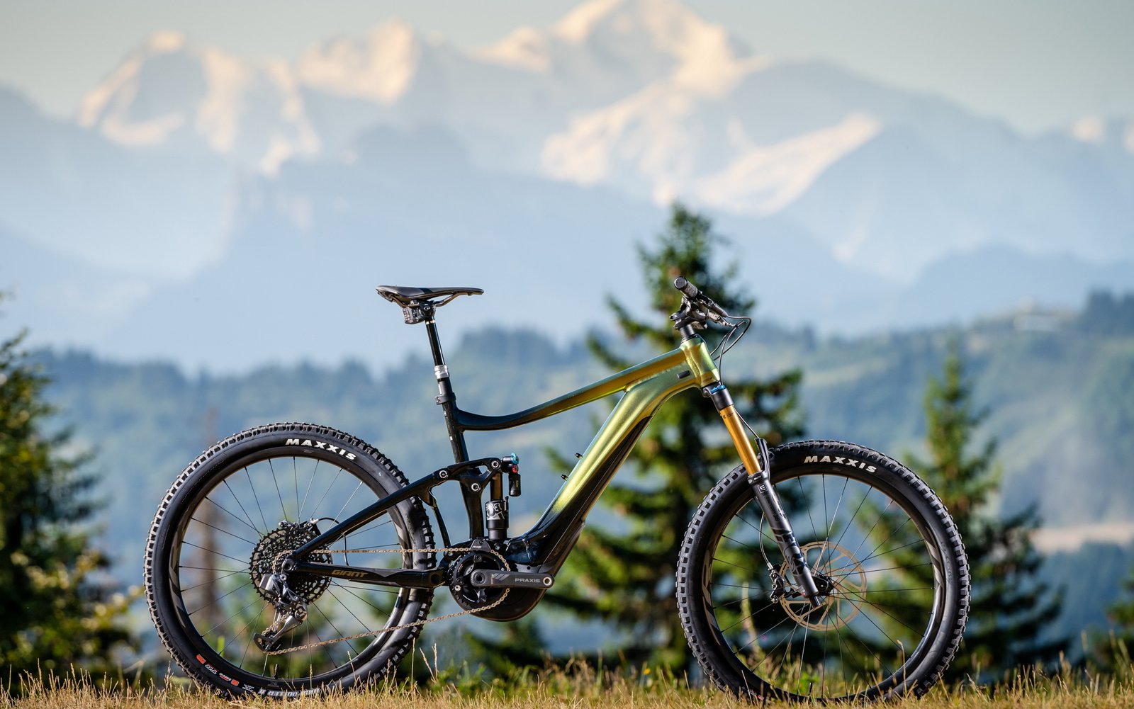 giant reign e bike