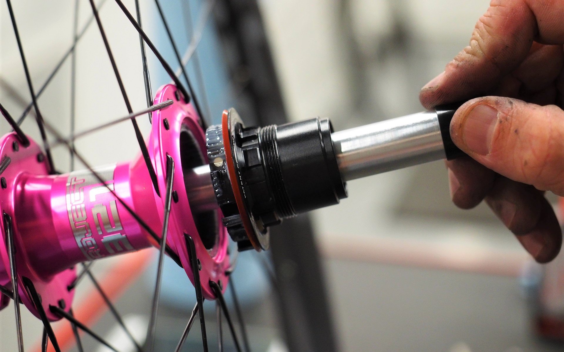 silent mountain bike hubs