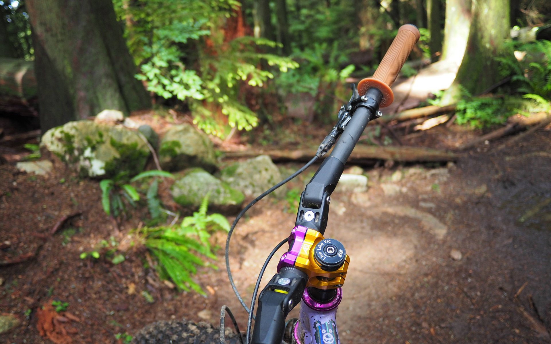 Best trail bike online grips