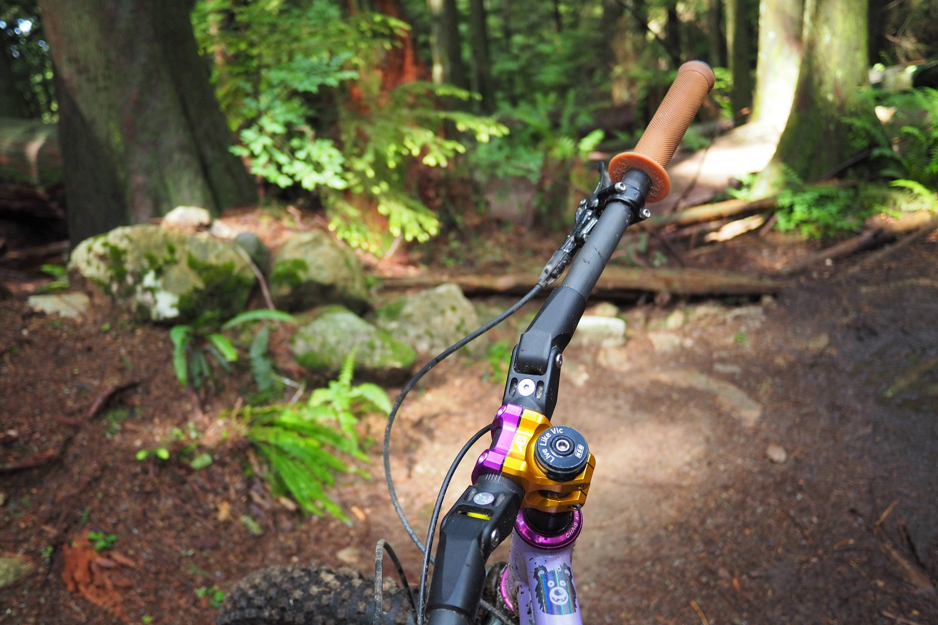 ESI Chunky Silicone MTB grip review - Components, Reviews