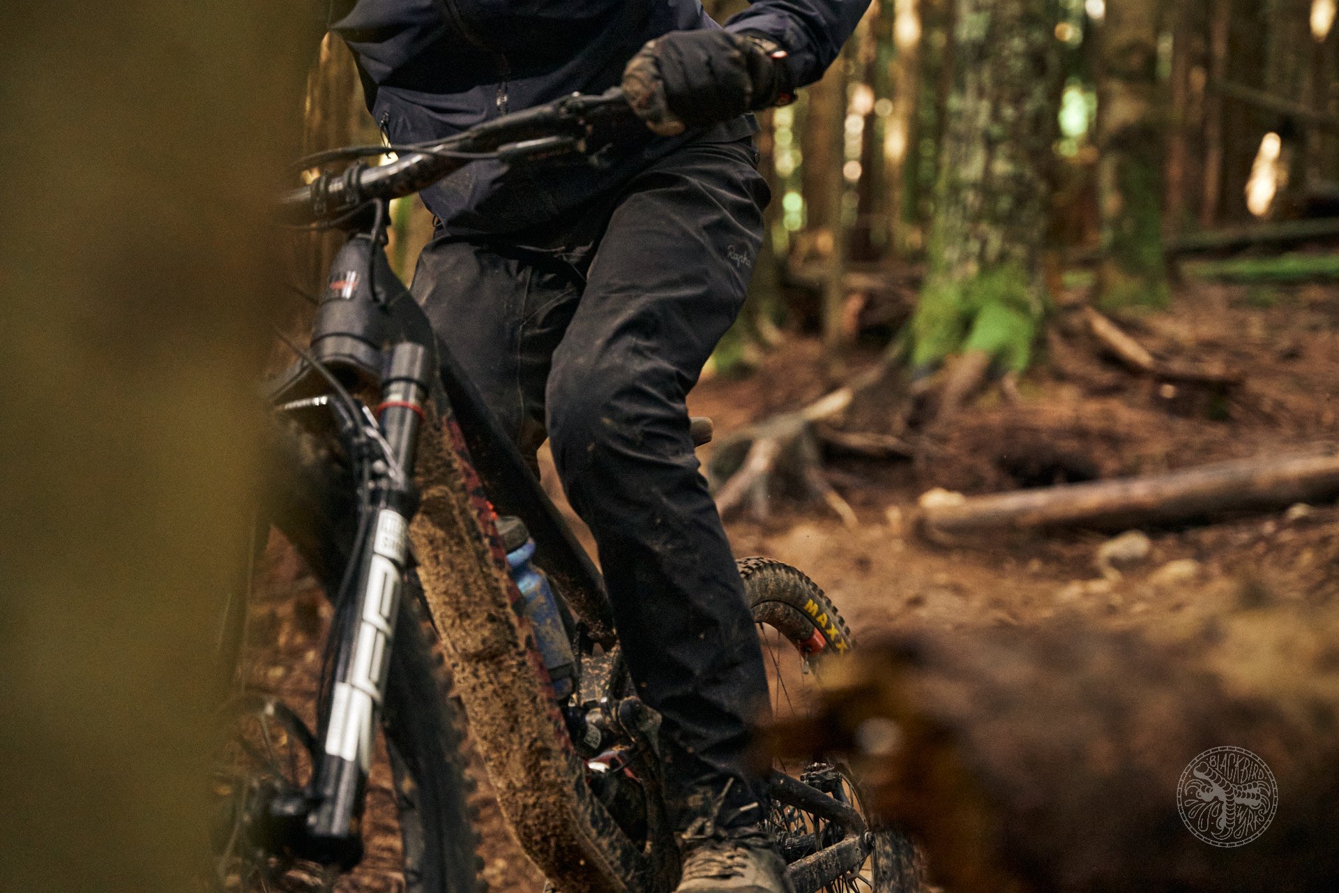 Gore mtb hot sale trousers