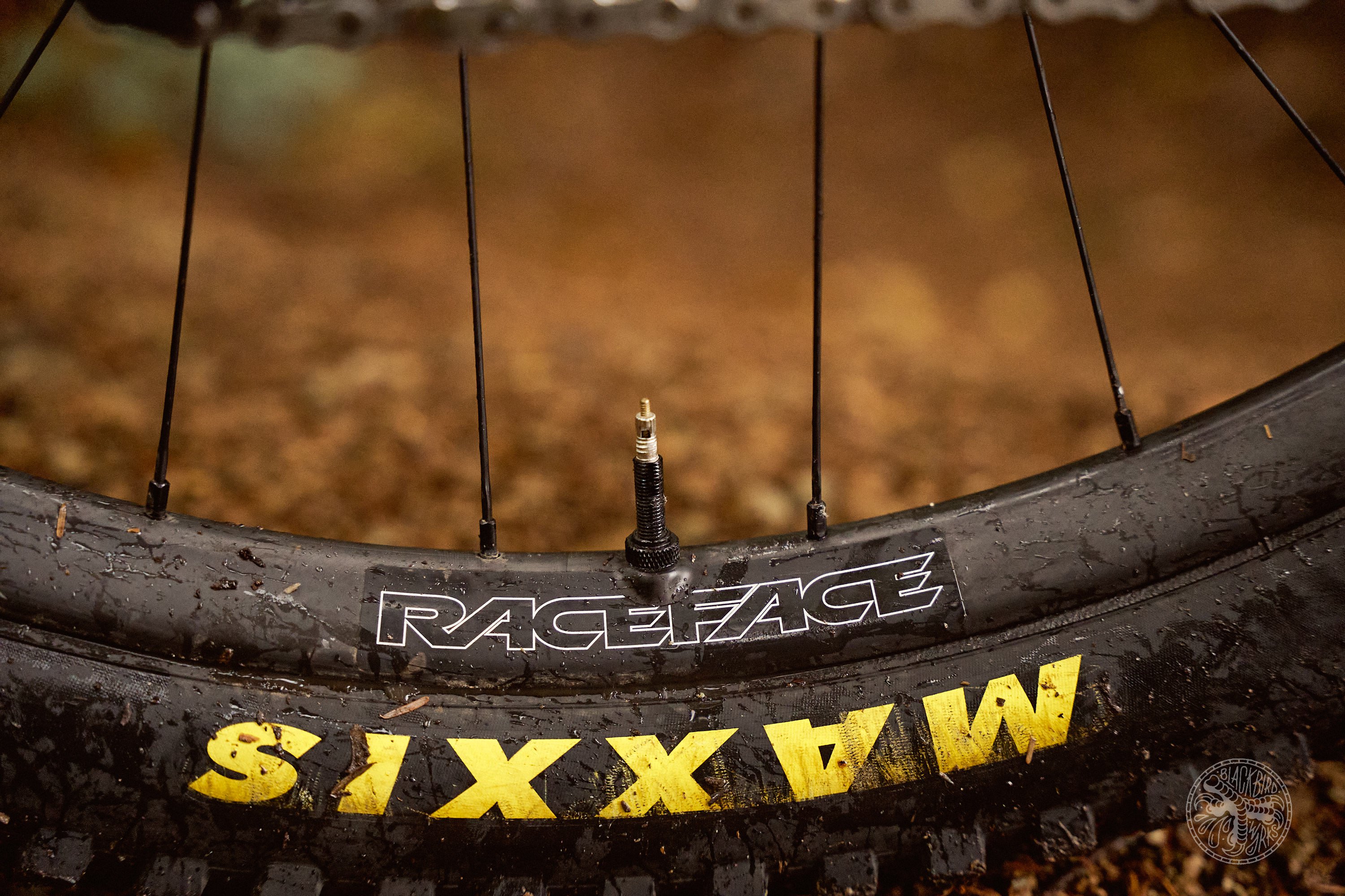 Race face next sl on sale wheelset