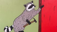A Raccoon with a hammer