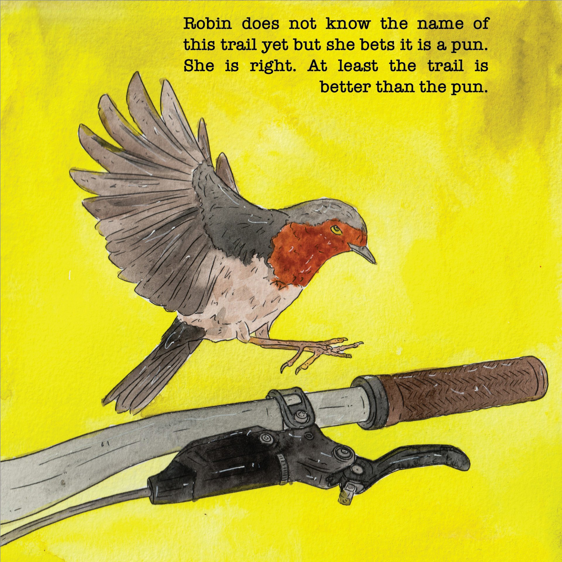A robin landing on handlebars