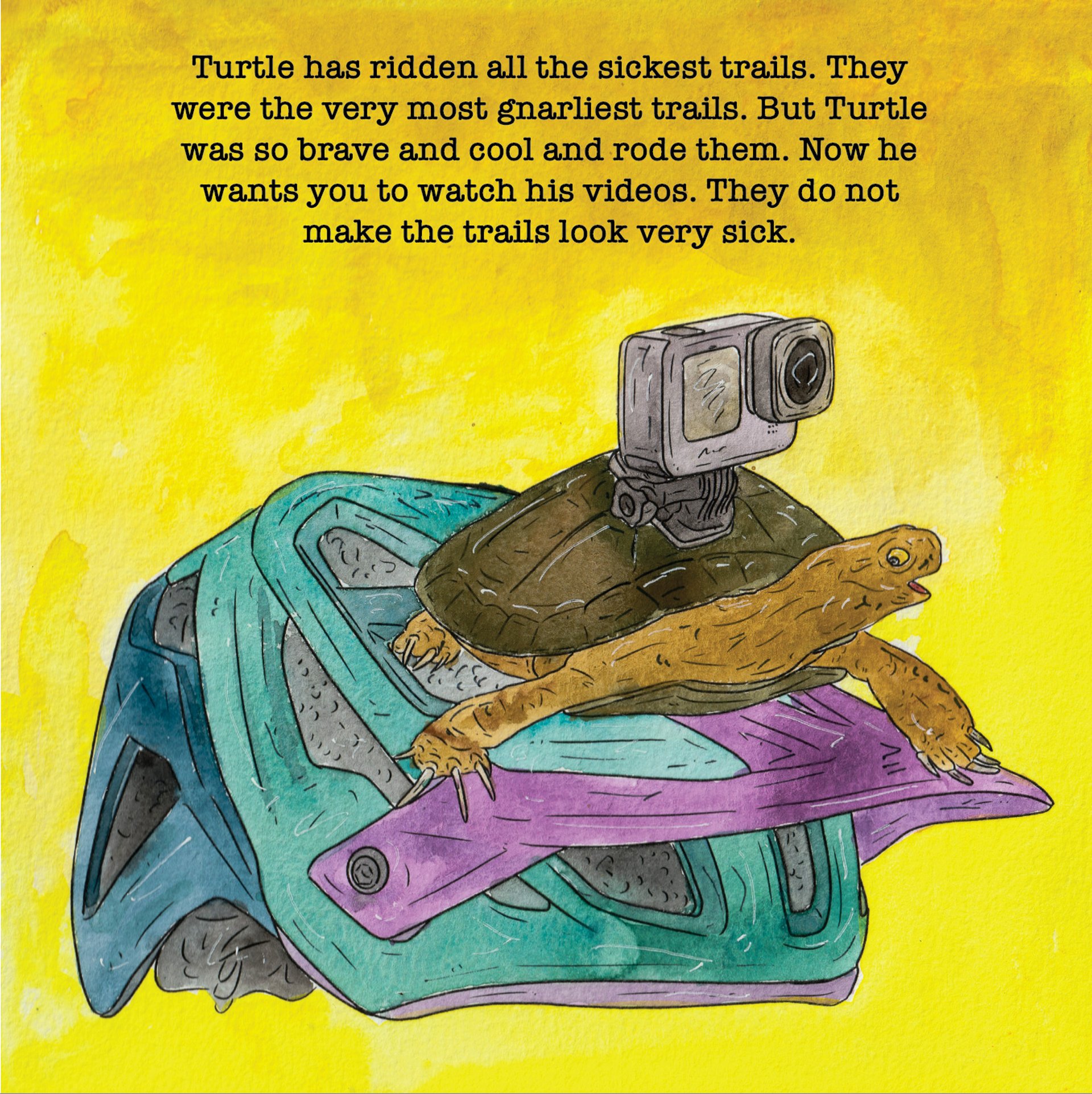 A turtle with a camera
