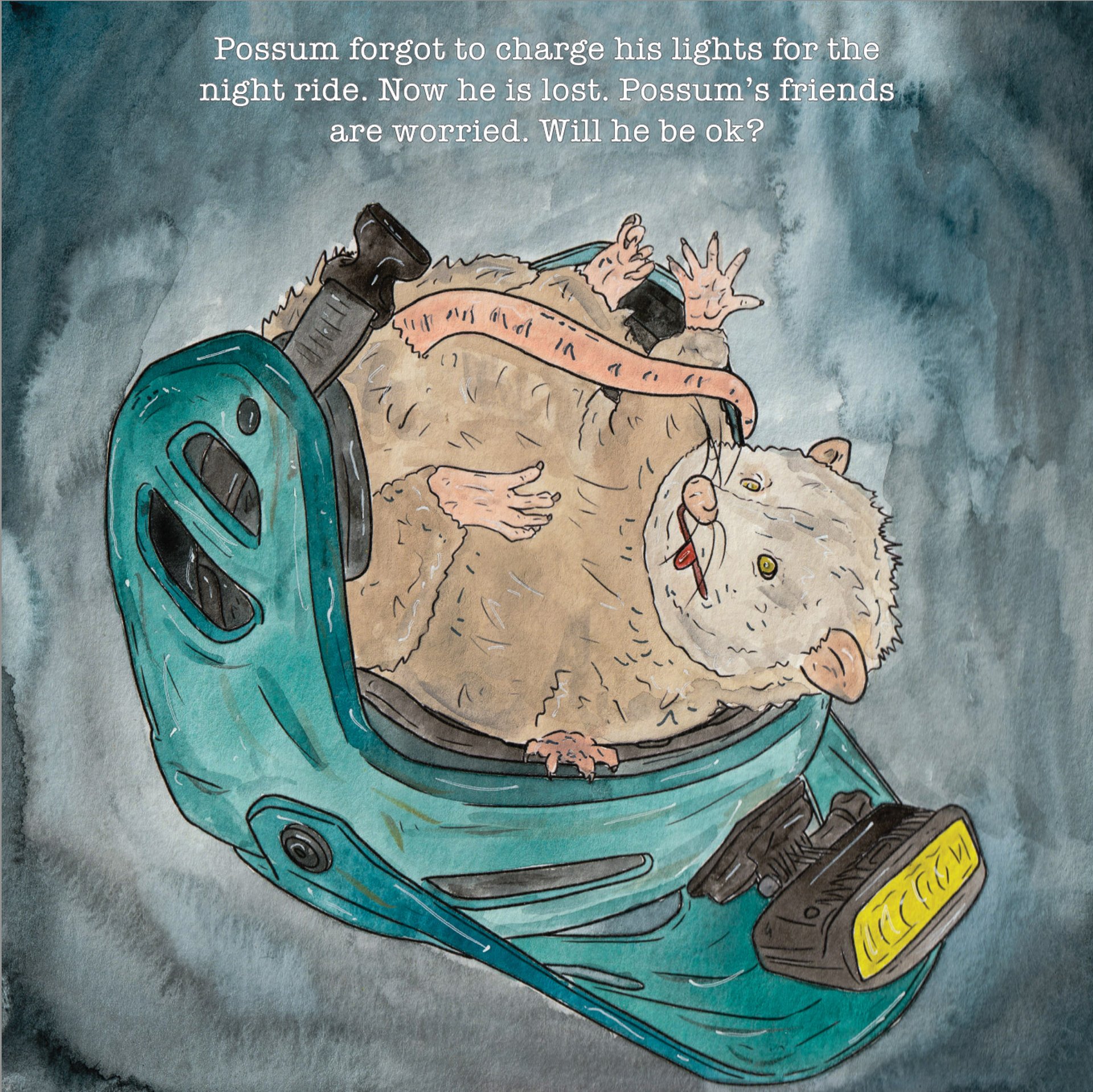 a lost possum in a bike helmet